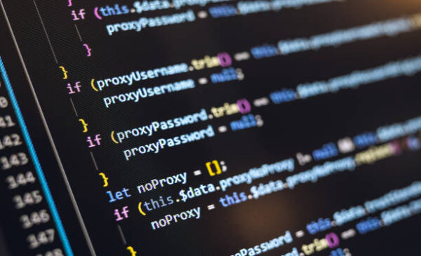 software development/maintaince